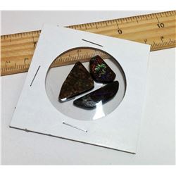 LOT OF 3 PURPLE FIRE AMMOLITE GEMSTONES