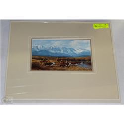 ALBERTA CATTLE ROUND-UP BY LEON LEVESQUE #28/700