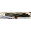 Image 1 : CONTINENTAL 3/8" WIRE ROPE