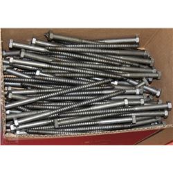 BOX OF LAG BOLTS