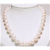 Image 1 : #29-STERLING SILVER FRESHWATER PEARL NECKLACE