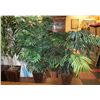Image 1 : SHOWHOME ASSORTMENT OF 3 ARTIFICIAL PLANTS WITH