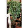 Image 1 : SHOWHOME ARTIFICIAL FLOOR PLANT 6'