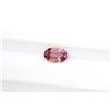 Image 1 : 0.66ct Oval Shape Natural Ceylon Sapphire