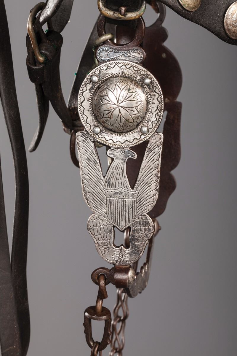 Impressive California Eagle Bit on Bridle with Matching Breast Collar