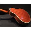 Image 8 : 8 STRING "A" STYLE MANDOLIN, NO BRAND, MODEL OR SERIAL NUMBER PRESENT, "REMENY MUSICAL INSTRUMENTS,