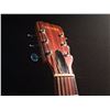 Image 2 : GIANNINI STEEL STRING ACOUSTIC GUITAR, MADE IN BRAZIL, COMES WITH PROFILE HARD SHELL CASE