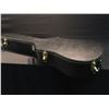 Image 8 : VS HOLLOW BODY ELECTRIC GUITAR WITH TWO HUMBUCKER PICKUPS, AND HARD SHELL CASE