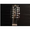 Image 2 : EKO 12 STRING MINI ELECTRIC GUITAR, WITH HUMBUCKER PICKUP, MADE IN ITALY, COMES WITH HARD SHELL