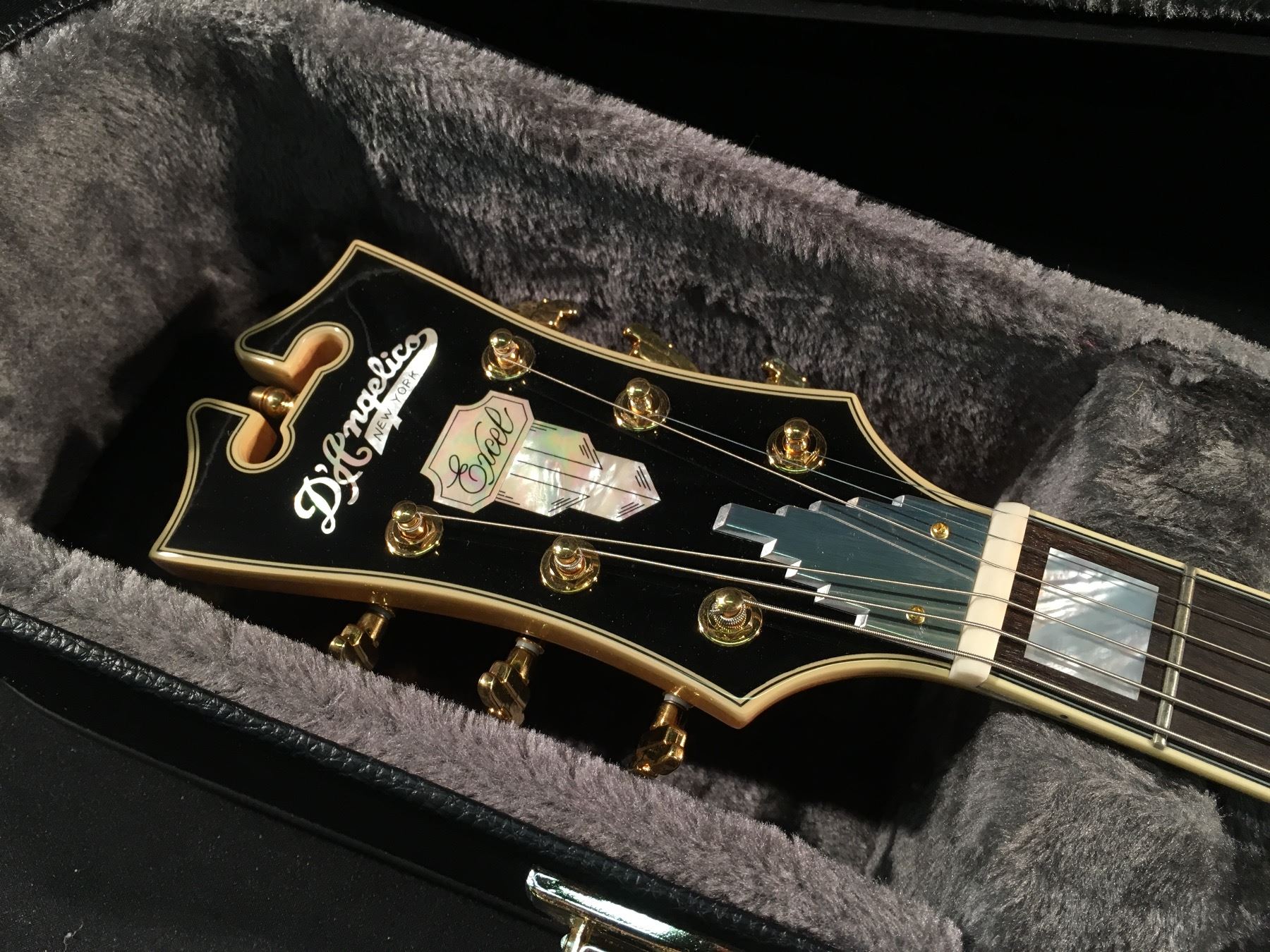 Dangelico Serial Number Lookup Dangelico Serial Number Lookup