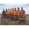 Image 1 : 3 Days Pheasant Hunt in South Dakota for 2 Hunters.