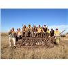 Image 2 : 3 Days Pheasant Hunt in South Dakota for 2 Hunters.