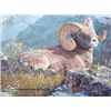 Image 1 : “Rocky Mountain High Bighorn” by Jan Martin McGuire