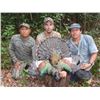 Image 1 : 7 Days Mexican Campeche Jungle Hunt for Three Species for 2 Hunters.