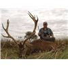 Image 4 : 7 Days Big Game Hunt for 2 Hunters in Argentina.