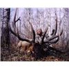 Image 1 : 3 Days / 4 Nights Trophy Elk Hunt for 2 Hunters in Saskatchewan, Canada.