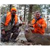 Image 1 : 5 Days / 5 Nights Missouri Whitetail Archery/Crossbow Hunt for 2 Hunters.