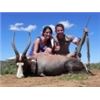 Image 9 : 6 Days Plains Game Hunt for 2 Hunters and 2 Non-hunters in South Africa