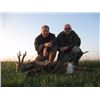 Image 1 : 7 Days (3 full hunting) / 6 Nights Roe Deer Hunt for 2 Hunters or 1 Hunter & 1 Non-hunter in Serbia.