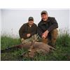 Image 2 : 7 Days (3 full hunting) / 6 Nights Roe Deer Hunt for 2 Hunters or 1 Hunter & 1 Non-hunter in Serbia.