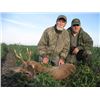 Image 3 : 7 Days (3 full hunting) / 6 Nights Roe Deer Hunt for 2 Hunters or 1 Hunter & 1 Non-hunter in Serbia.