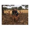Image 4 : 5 Days Hunter’s Choice for 1 Hunter in Spain.