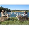 Image 2 : 3 Days / 4 Nights Trophy Whitetail Deer Hunt at Briarwood Sporting Club, Bellefontaine, Ohio for 2 H