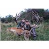 3 Day Red Stag Hunt in New Zealand for 1 Hunter.