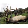 Image 2 : 3 Day Red Stag Hunt in New Zealand for 1 Hunter.