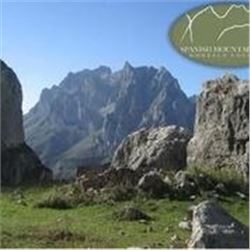 4 Days for 1 Iberian Mouflon Sheep, 1 Fallow Deer or 1 Iberian Red Deer (Hunter’s choice) in Spain f