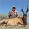 Image 5 : 5 Days Plains Game Hunt in South Africa for 2 Hunters.