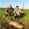 Image 3 : 3 Days Roe Deer Hunt and 3 Tour Days in Serbia for 1 Hunter and 1 Non-Hunter.