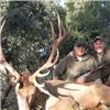 Image 2 : 4 Days Ibex or Spanish Red Stag or Fallow Deer and/or Mouflon Hunt in Spain for 1 Hunter and 1 Non-h