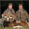 Image 3 : 4 Days Ibex or Spanish Red Stag or Fallow Deer and/or Mouflon Hunt in Spain for 1 Hunter and 1 Non-h