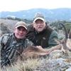 Image 4 : 4 Days Ibex or Spanish Red Stag or Fallow Deer and/or Mouflon Hunt in Spain for 1 Hunter and 1 Non-h