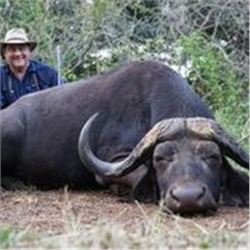 7 Days Big Game Hunt in South Africa for 1 Hunter and 1 Non-hunter.