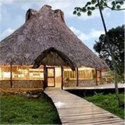 6 Nights / 5 Days Belize Jungle Adventure for 4 People.