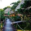 Image 4 : 6 Nights / 5 Days Belize Jungle Adventure for 4 People.