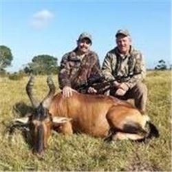 10 Days 1 Red Hartebeest & 1 Common Springbuck Hunt in South Africa for 2 Hunters.