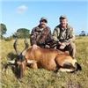 Image 1 : 10 Days 1 Red Hartebeest & 1 Common Springbuck Hunt in South Africa for 2 Hunters.