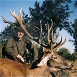 4 Days Spanish Red Deer or European Fallow Deer of Iberian Mouflon Sheep Hunt for 1 Hunter and 1 Non