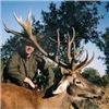 Image 1 : 4 Days Spanish Red Deer or European Fallow Deer of Iberian Mouflon Sheep Hunt for 1 Hunter and 1 Non