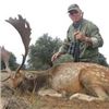 Image 2 : 4 Days Spanish Red Deer or European Fallow Deer of Iberian Mouflon Sheep Hunt for 1 Hunter and 1 Non