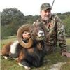 Image 3 : 4 Days Spanish Red Deer or European Fallow Deer of Iberian Mouflon Sheep Hunt for 1 Hunter and 1 Non