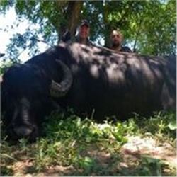 5 Days Water Buffalo Hunt in Argentina for 1 Hunter.