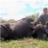 Image 2 : 5 Days Water Buffalo Hunt in Argentina for 1 Hunter.