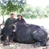 Image 3 : 5 Days Water Buffalo Hunt in Argentina for 1 Hunter.