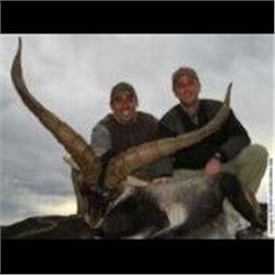 4 Days Beceite Ibex Hunt & Wine Tasting in Spain for 2 Hunters and 2 Non-hunters.