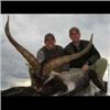 Image 1 : 4 Days Beceite Ibex Hunt & Wine Tasting in Spain for 2 Hunters and 2 Non-hunters.