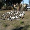Image 4 : 5 Days Wing Shooting Hunt in Argentina for 4 Hunters.